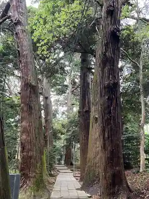日吉神社(千葉県)