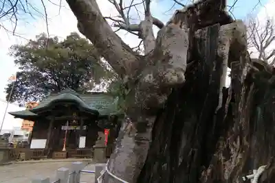 阿邪訶根神社の本殿・本堂
