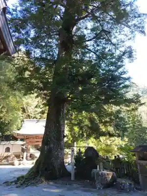 甘南美寺(岐阜県)