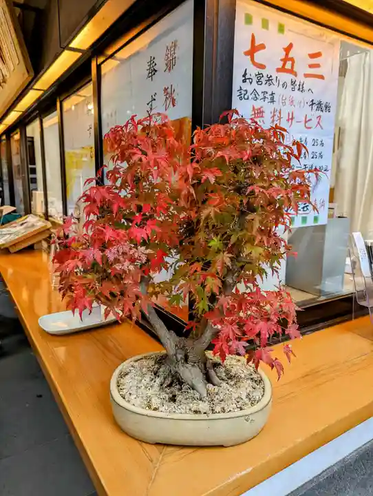 小野照崎神社の自然