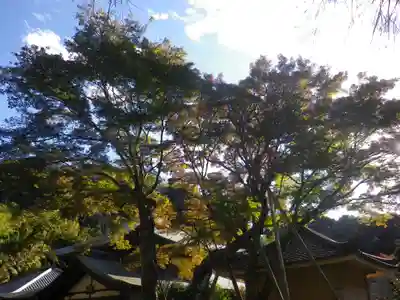 瑞泉寺のその他建物