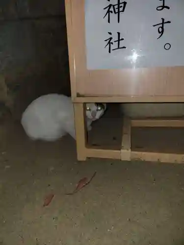 石切劔箭神社(大阪府)