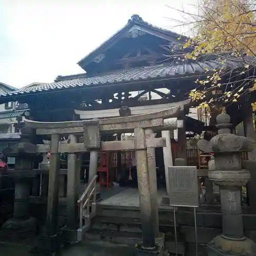 浅草神社の鳥居
