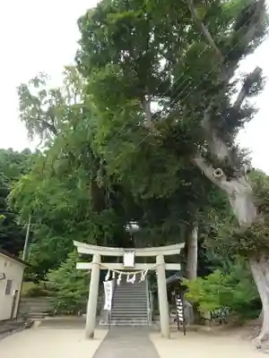 田間神社の鳥居