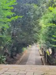 渋谷氷川神社の建物その他