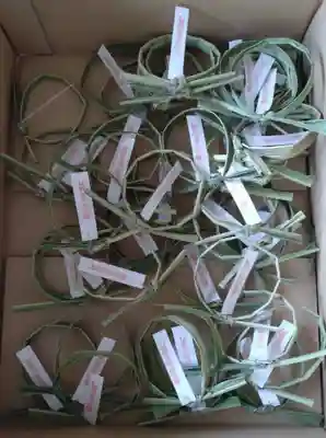 天鷹神社(岐阜県)