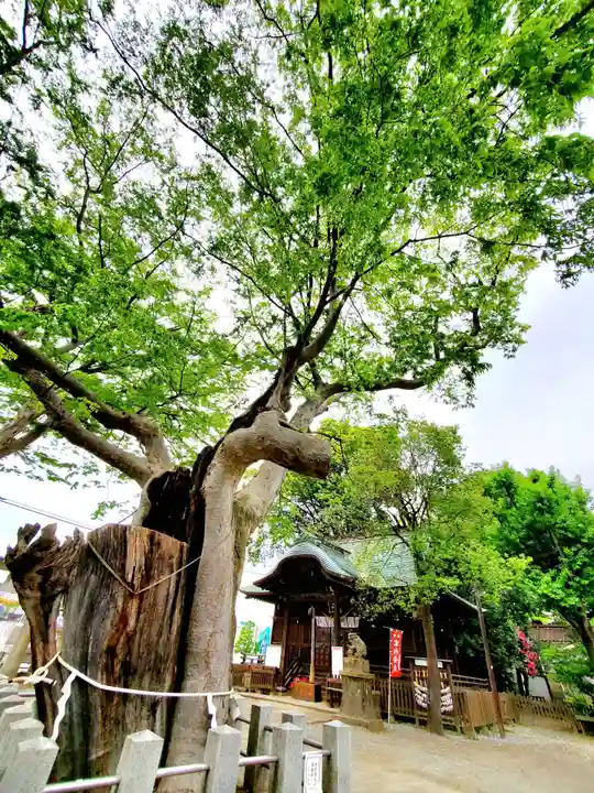 阿邪訶根神社の自然
