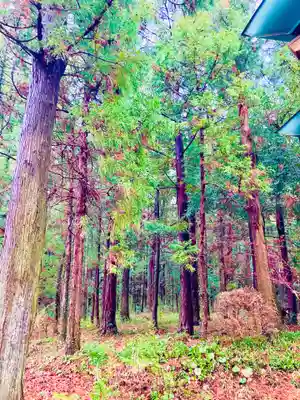 伊保田神社(茨城県)