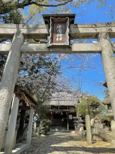 廣國神社の鳥居