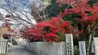 芦屋神社のその他建物