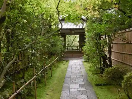 高桐院（大徳寺塔頭）の山門