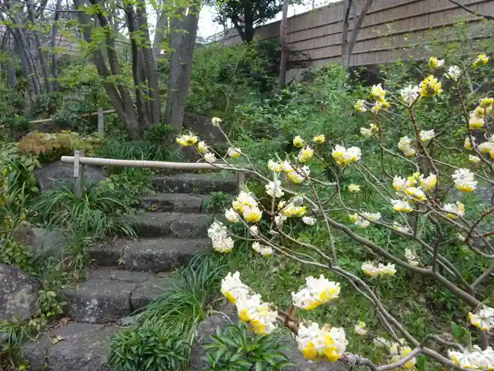 妙蓮寺(神奈川県)