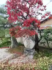 妙栄寺(京都府)