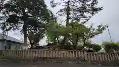 日吉浅間神社の自然