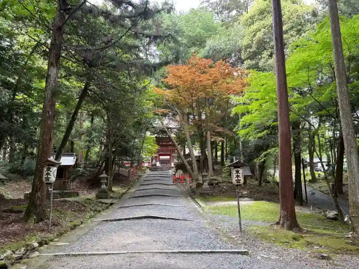 日吉大社の{uncategorized: "未分類", other: "その他", undefined: "問題あり", building: "その他建物", grave: "お墓", sacred_gate: "鳥居", guardian: "狛犬", statue: "像", buddha: "仏像", history: "歴史", nature: "自然", garden: "庭園", animal: "動物", pagoda: "塔", temizu: "手水舎", mountain_gate: "山門・神門", sanctuary: "本殿・本堂", subordinate: "末社・摂社", art: "芸術", scenery: "景色", jizo: "地蔵", ema: "絵馬", goshuin: "御朱印", omikuji: "おみくじ", items: "授与品その他", amulet: "お守り", goshuincho: "御朱印帳", eats: "食事", festival: "お祭り", votive_dance: "神楽", shichigosan: "七五三参", wedding: "結婚式", experience: "体験その他", initially: "初詣", around: "周辺", anti_infection: "感染症対策"}