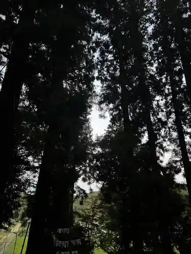 大宮温泉神社(栃木県)