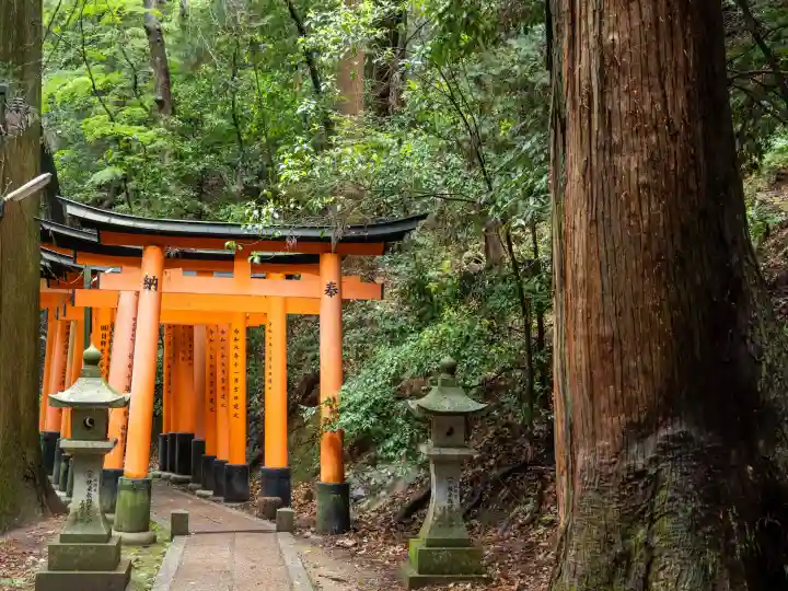 伏見稲荷大社の{uncategorized: "未分類", other: "その他", undefined: "問題あり", building: "その他建物", grave: "お墓", sacred_gate: "鳥居", guardian: "狛犬", statue: "像", buddha: "仏像", history: "歴史", nature: "自然", garden: "庭園", animal: "動物", pagoda: "塔", temizu: "手水舎", mountain_gate: "山門・神門", sanctuary: "本殿・本堂", subordinate: "末社・摂社", art: "芸術", scenery: "景色", jizo: "地蔵", ema: "絵馬", goshuin: "御朱印", omikuji: "おみくじ", items: "授与品その他", amulet: "お守り", goshuincho: "御朱印帳", eats: "食事", festival: "お祭り", votive_dance: "神楽", shichigosan: "七五三参", wedding: "結婚式", experience: "体験その他", initially: "初詣", around: "周辺", anti_infection: "感染症対策"}