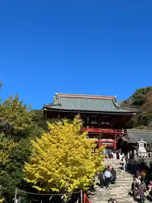 鶴岡八幡宮の本殿・本堂