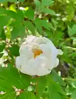 蚊里田八幡宮(長野県)