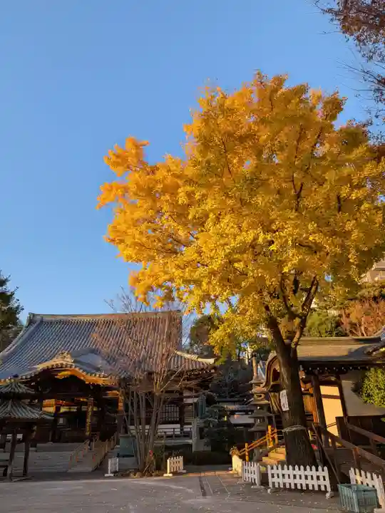 成願寺(東京都)