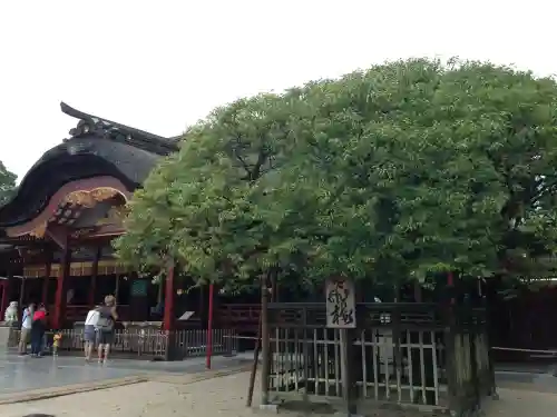 太宰府天満宮(福岡県)