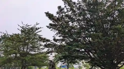 瓜幕神社の自然