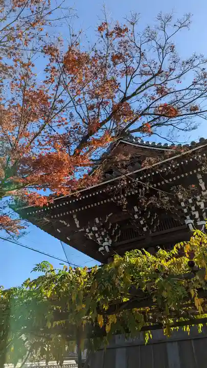 妙蓮寺(京都府)