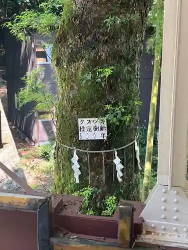 久能山東照宮(静岡県)