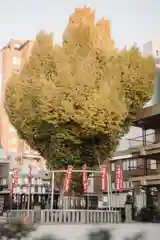 櫛田神社(福岡県)