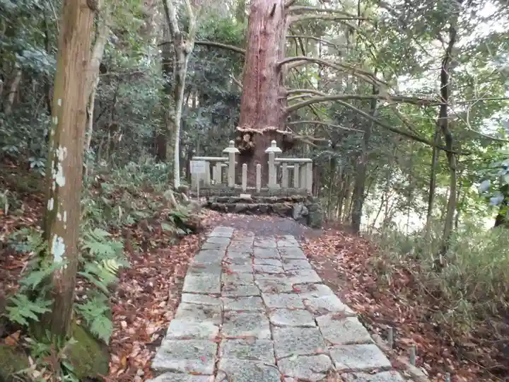 五百井神社の自然