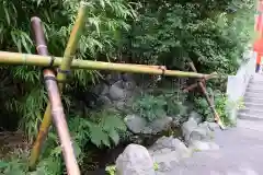 白笹稲荷神社の手水