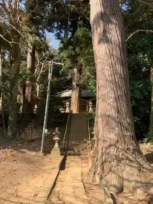 大木戸八幡神社(千葉県)