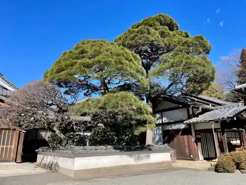 金藏院(東京都)