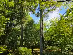 廣隆寺(京都府)