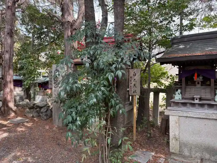水火天満宮の{uncategorized: "未分類", other: "その他", undefined: "問題あり", building: "その他建物", grave: "お墓", sacred_gate: "鳥居", guardian: "狛犬", statue: "像", buddha: "仏像", history: "歴史", nature: "自然", garden: "庭園", animal: "動物", pagoda: "塔", temizu: "手水舎", mountain_gate: "山門・神門", sanctuary: "本殿・本堂", subordinate: "末社・摂社", art: "芸術", scenery: "景色", jizo: "地蔵", ema: "絵馬", goshuin: "御朱印", omikuji: "おみくじ", items: "授与品その他", amulet: "お守り", goshuincho: "御朱印帳", eats: "食事", festival: "お祭り", votive_dance: "神楽", shichigosan: "七五三参", wedding: "結婚式", experience: "体験その他", initially: "初詣", around: "周辺", anti_infection: "感染症対策"}