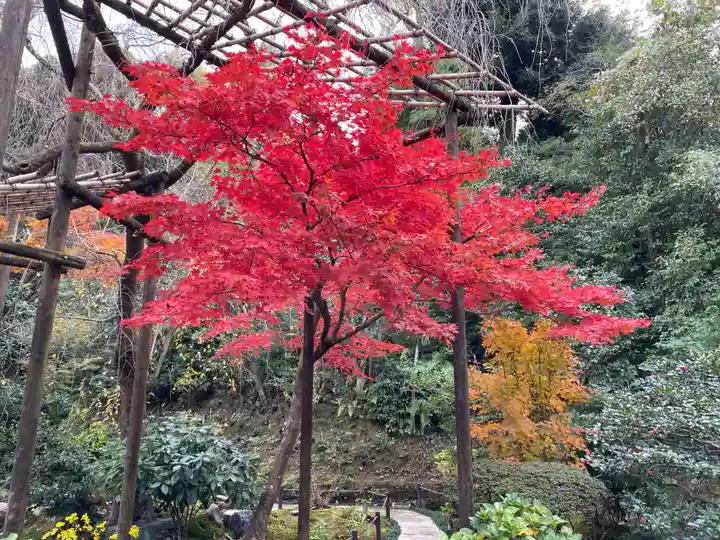 一條殿 新善光寺(京都府)