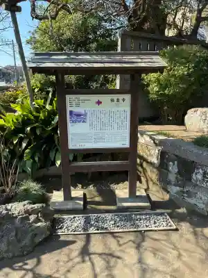 極楽寺（霊鷲山感應院極楽律寺）の{uncategorized: "未分類", other: "その他", undefined: "問題あり", building: "その他建物", grave: "お墓", sacred_gate: "鳥居", guardian: "狛犬", statue: "像", buddha: "仏像", history: "歴史", nature: "自然", garden: "庭園", animal: "動物", pagoda: "塔", temizu: "手水舎", mountain_gate: "山門・神門", sanctuary: "本殿・本堂", subordinate: "末社・摂社", art: "芸術", scenery: "景色", jizo: "地蔵", ema: "絵馬", goshuin: "御朱印", omikuji: "おみくじ", items: "授与品その他", amulet: "お守り", goshuincho: "御朱印帳", eats: "食事", festival: "お祭り", votive_dance: "神楽", shichigosan: "七五三参", wedding: "結婚式", experience: "体験その他", initially: "初詣", around: "周辺", anti_infection: "感染症対策"}
