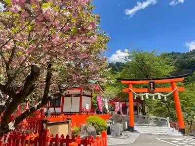 金櫻神社(山梨県)