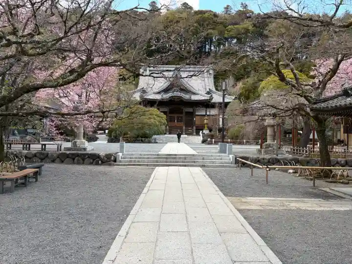 修禅寺の{uncategorized: "未分類", other: "その他", undefined: "問題あり", building: "その他建物", grave: "お墓", sacred_gate: "鳥居", guardian: "狛犬", statue: "像", buddha: "仏像", history: "歴史", nature: "自然", garden: "庭園", animal: "動物", pagoda: "塔", temizu: "手水舎", mountain_gate: "山門・神門", sanctuary: "本殿・本堂", subordinate: "末社・摂社", art: "芸術", scenery: "景色", jizo: "地蔵", ema: "絵馬", goshuin: "御朱印", omikuji: "おみくじ", items: "授与品その他", amulet: "お守り", goshuincho: "御朱印帳", eats: "食事", festival: "お祭り", votive_dance: "神楽", shichigosan: "七五三参", wedding: "結婚式", experience: "体験その他", initially: "初詣", around: "周辺", anti_infection: "感染症対策"}