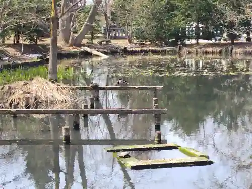 永山神社の動物