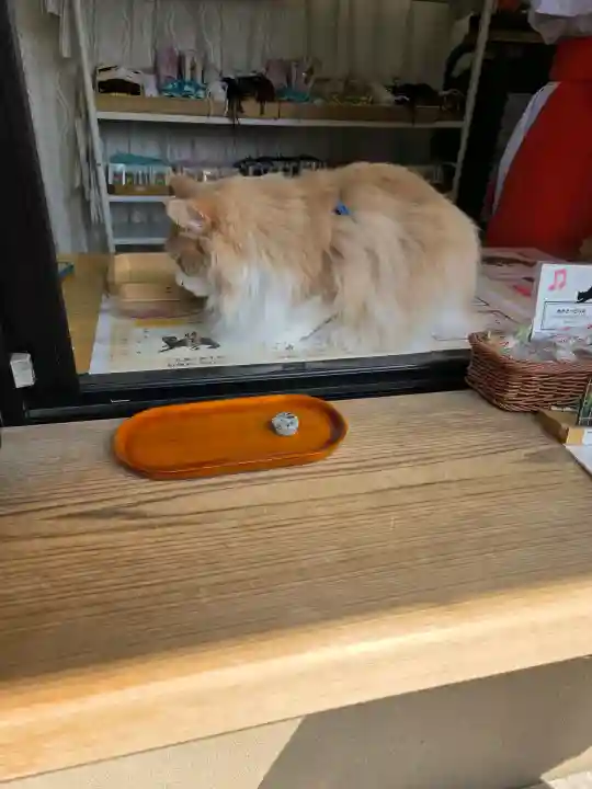 駒込妙義神社の{uncategorized: "未分類", other: "その他", undefined: "問題あり", building: "その他建物", grave: "お墓", sacred_gate: "鳥居", guardian: "狛犬", statue: "像", buddha: "仏像", history: "歴史", nature: "自然", garden: "庭園", animal: "動物", pagoda: "塔", temizu: "手水舎", mountain_gate: "山門・神門", sanctuary: "本殿・本堂", subordinate: "末社・摂社", art: "芸術", scenery: "景色", jizo: "地蔵", ema: "絵馬", goshuin: "御朱印", omikuji: "おみくじ", items: "授与品その他", amulet: "お守り", goshuincho: "御朱印帳", eats: "食事", festival: "お祭り", votive_dance: "神楽", shichigosan: "七五三参", wedding: "結婚式", experience: "体験その他", initially: "初詣", around: "周辺", anti_infection: "感染症対策"}