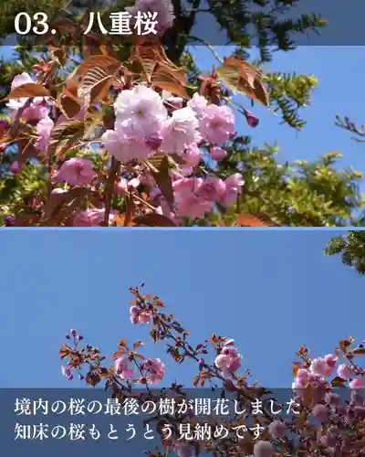 宝光寺(北海道)