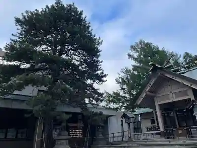 白石神社の本殿・本堂
