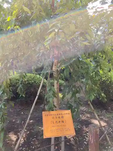 岩槻久伊豆神社(埼玉県)