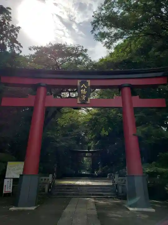大宮八幡宮の鳥居