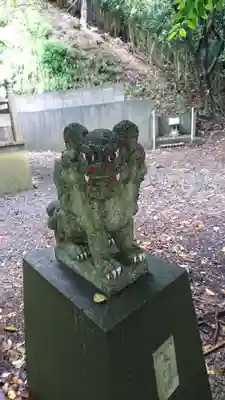 五十鈴神社の狛犬
