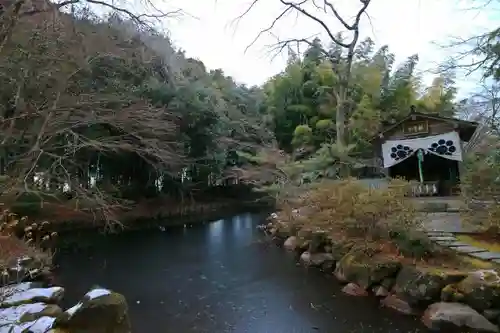 青葉神社の自然