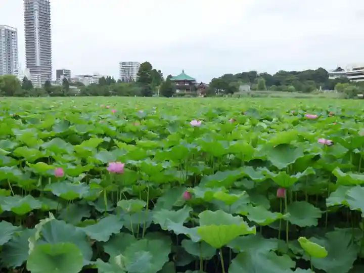 寛永寺不忍池弁天堂の本殿・本堂