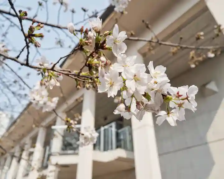 妙建山本立寺(東京都)