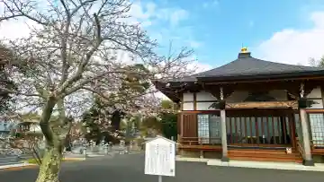 法光寺の{uncategorized: "未分類", other: "その他", undefined: "問題あり", building: "その他建物", grave: "お墓", sacred_gate: "鳥居", guardian: "狛犬", statue: "像", buddha: "仏像", history: "歴史", nature: "自然", garden: "庭園", animal: "動物", pagoda: "塔", temizu: "手水舎", mountain_gate: "山門・神門", sanctuary: "本殿・本堂", subordinate: "末社・摂社", art: "芸術", scenery: "景色", jizo: "地蔵", ema: "絵馬", goshuin: "御朱印", omikuji: "おみくじ", items: "授与品その他", amulet: "お守り", goshuincho: "御朱印帳", eats: "食事", festival: "お祭り", votive_dance: "神楽", shichigosan: "七五三参", wedding: "結婚式", experience: "体験その他", initially: "初詣", around: "周辺", anti_infection: "感染症対策"}